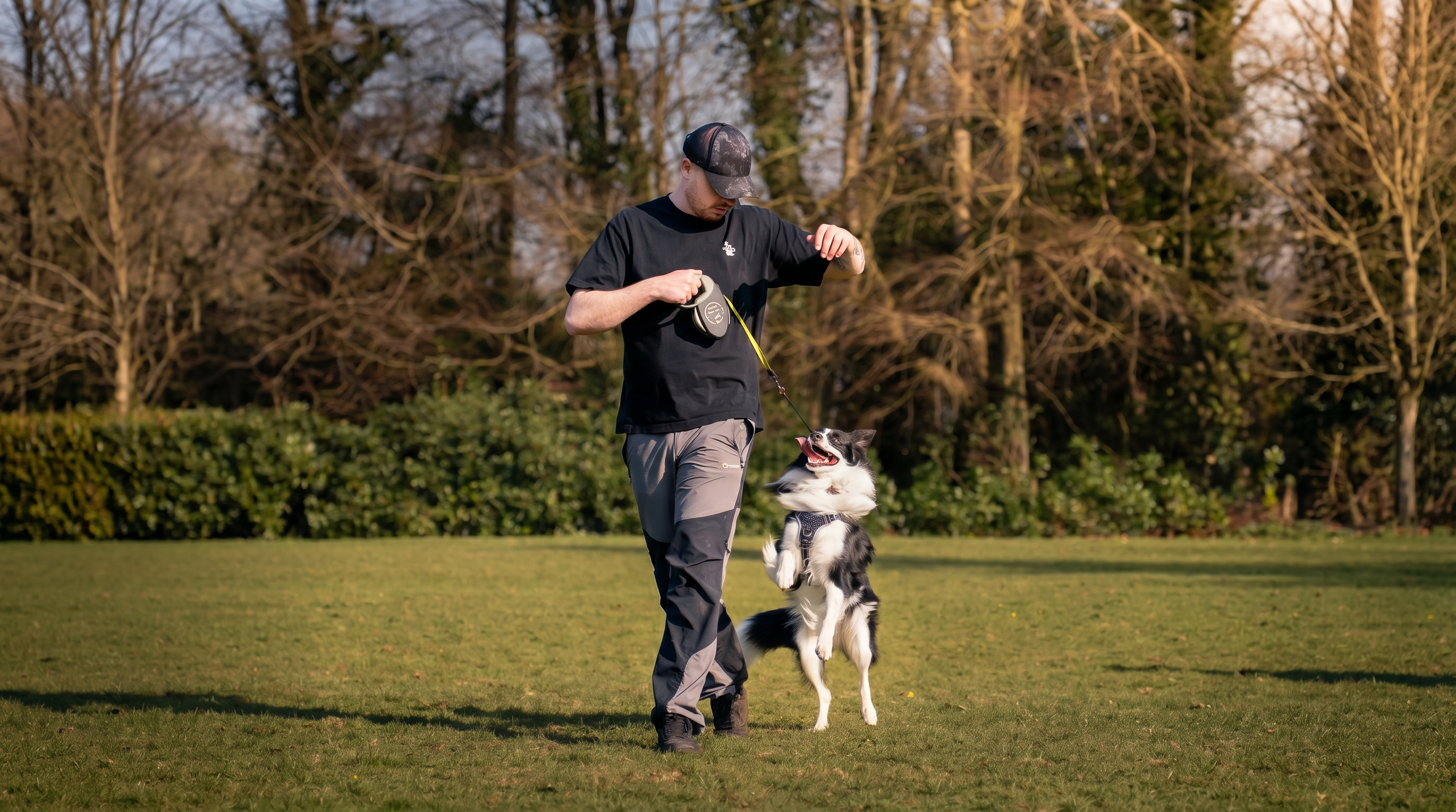Nathaniel training with an energetic Border Collie